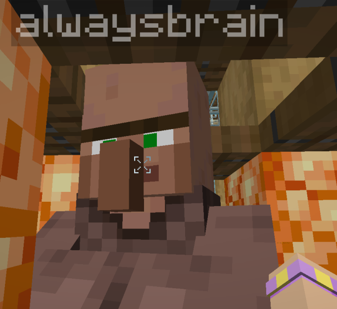 Villager Renamed Example